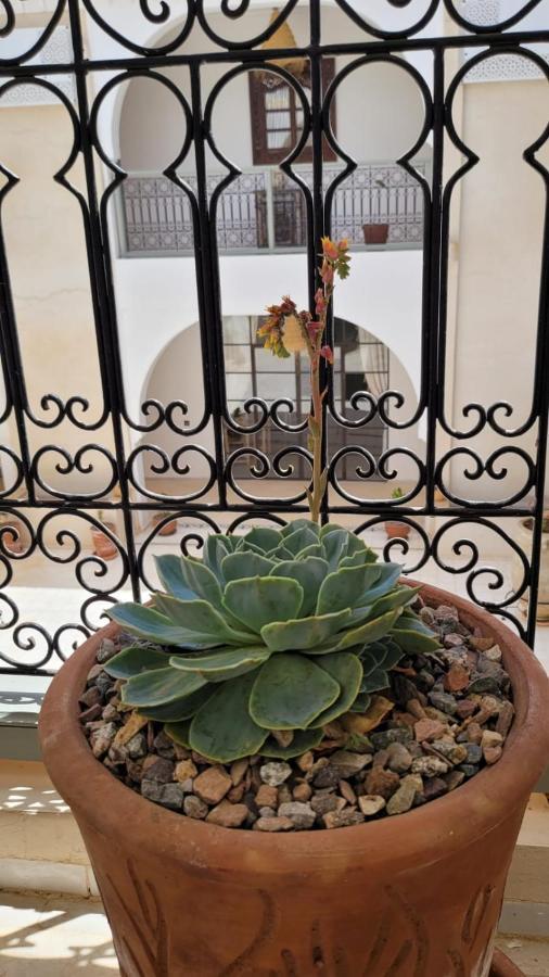 Riad Nohad Marrakech Marrakesh Exterior foto