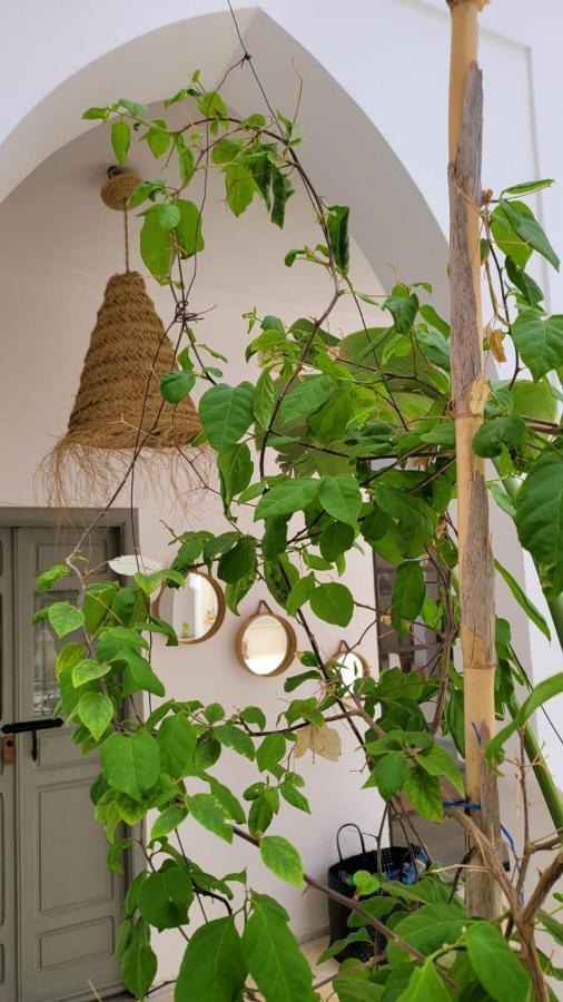 Riad Nohad Marrakech Marrakesh Exterior foto